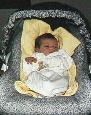 Mason in his carrier