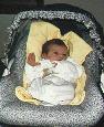 Mason in his carrier